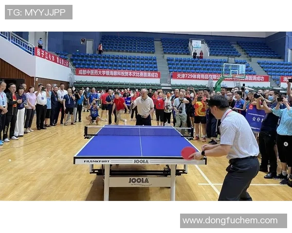 南京乒乓球队总决赛特别报道：从默默无闻到辉煌成就的奋斗历程