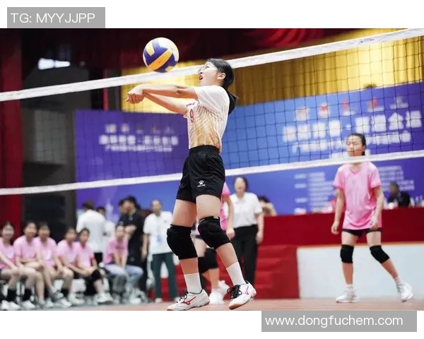 广州排球队在全国排球节奏排行榜中荣获第七名引发热议