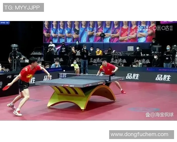杭州乒乓球队在总决赛中的耐力表现分析与启示
