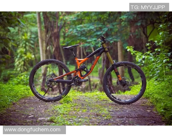 未来之星崛起最有潜力的足球明星盘点与展望