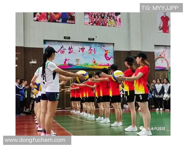 武汉排球队与南京排球队赛后心理素质分析与反思 武汉排球队与南京排球队赛后心理素质分析与反思