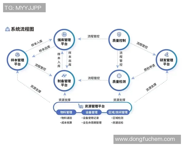深圳羽毛球队区域防守革新之路探索与实践分析
