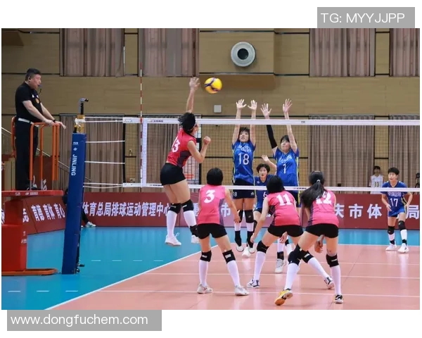 赛后分析：上海篮球队与杭州篮球队的比赛节奏与战术对比