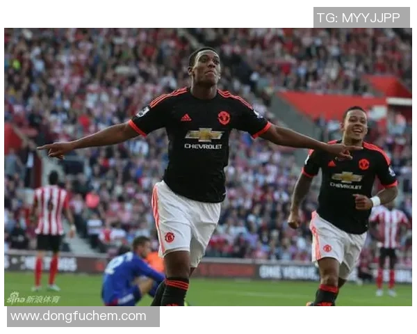 足球明星叶楚贵的传奇之路与背后的奋斗故事