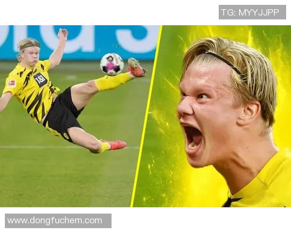 足球明星的倒钩技艺揭秘与经典瞬间回顾