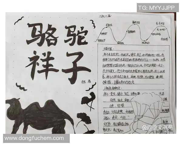 追忆绿茵传奇足球明星的小卡片情怀与故事分享