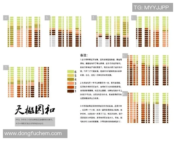 独家分析：深圳篮球队的速度对比