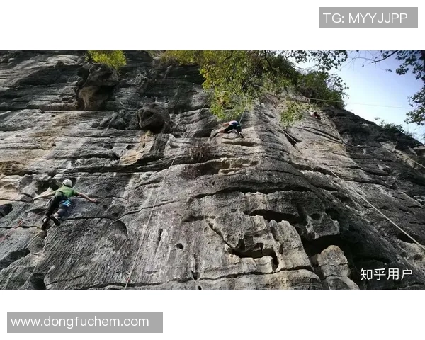 吴丽独家：分享攀岩心得