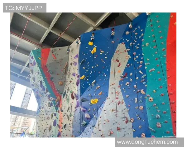 攀岩深度:解密南京攀岩队的快攻 攀岩深度:解密南京攀岩队的快攻