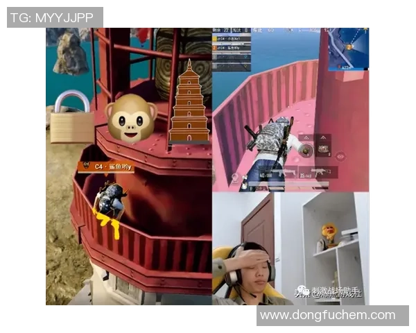 李芳专访：回顾和平精英历程