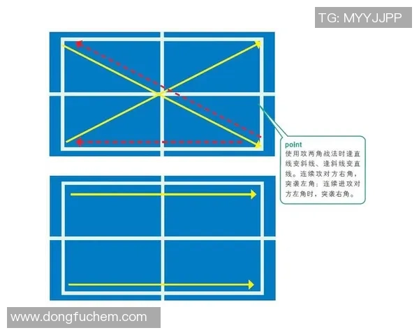 独家分析：杭州乒乓球队的战术对比