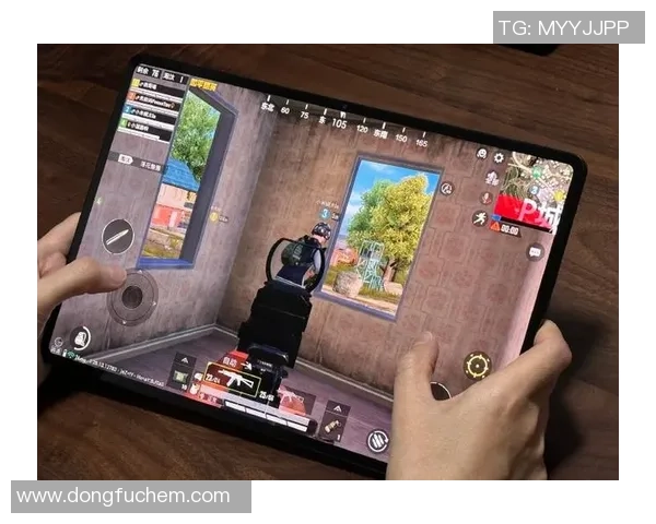 聚焦和平精英：LNG的配合话题